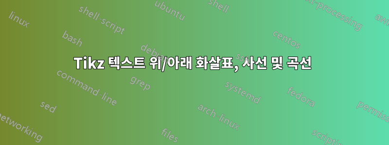 Tikz 텍스트 위/아래 화살표, 사선 및 곡선