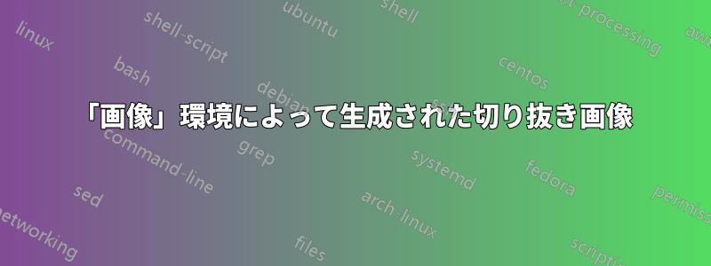 「画像」環境によって生成された切り抜き画像