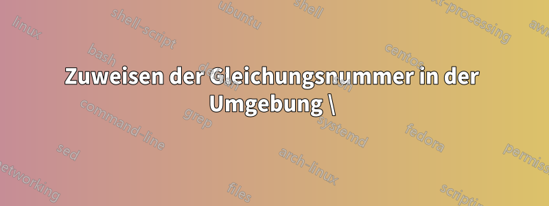 Zuweisen der Gleichungsnummer in der Umgebung \