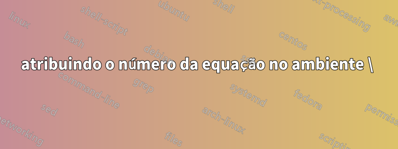 atribuindo o número da equação no ambiente \