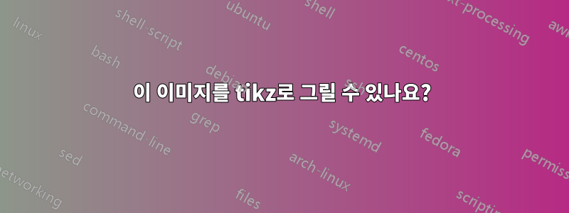 이 이미지를 tikz로 그릴 수 있나요?