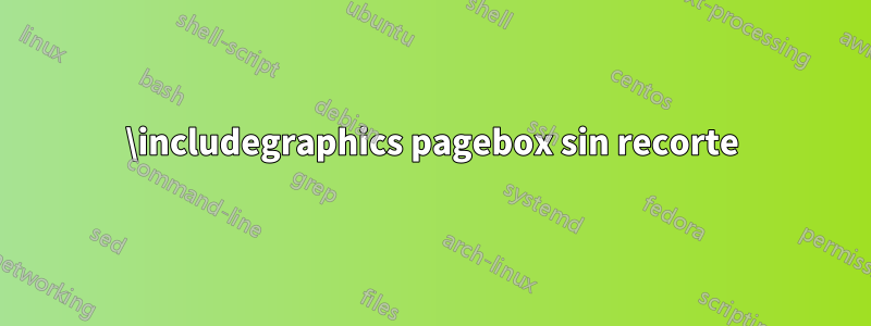 \includegraphics pagebox sin recorte