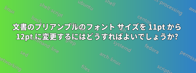 文書のプリアンブルのフォント サイズを 11pt から 12pt に変更するにはどうすればよいでしょうか?