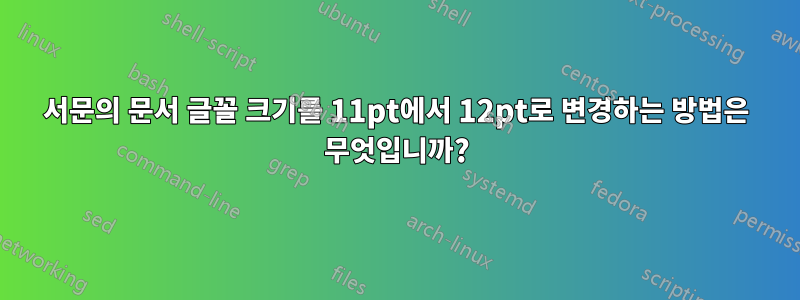 서문의 문서 글꼴 크기를 11pt에서 12pt로 변경하는 방법은 무엇입니까?