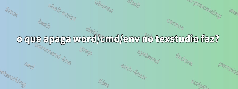 o que apaga word/cmd/env no texstudio faz?