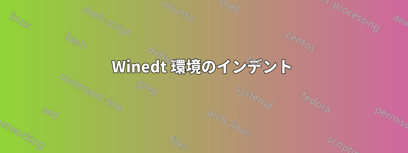 Winedt 環境のインデント