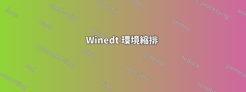 Winedt 環境縮排