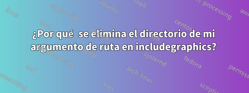 ¿Por qué se elimina el directorio de mi argumento de ruta en includegraphics?