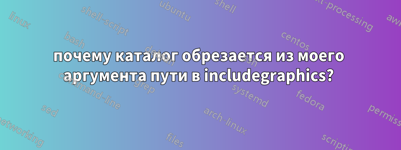 почему каталог обрезается из моего аргумента пути в includegraphics?