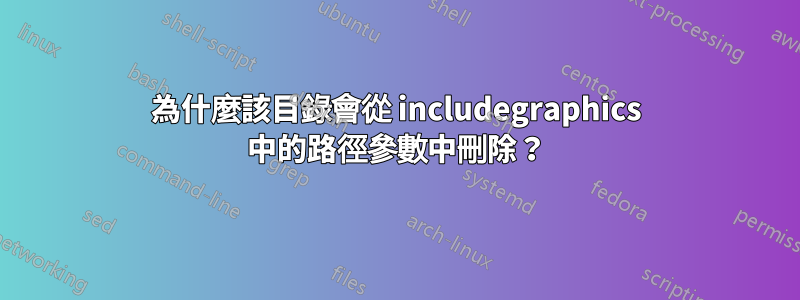 為什麼該目錄會從 includegraphics 中的路徑參數中刪除？