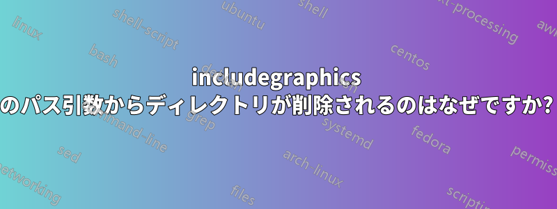 includegraphics のパス引数からディレクトリが削除されるのはなぜですか?