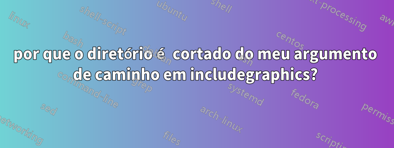 por que o diretório é cortado do meu argumento de caminho em includegraphics?