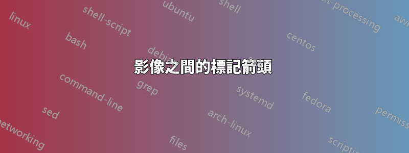 影像之間的標記箭頭