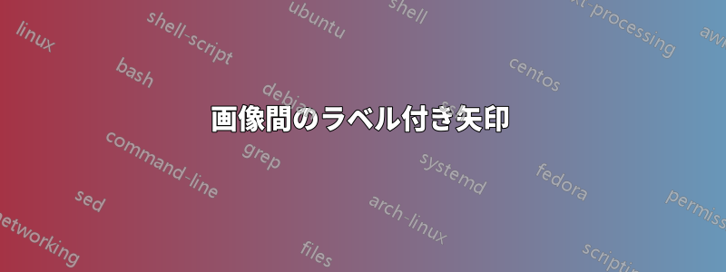 画像間のラベル付き矢印