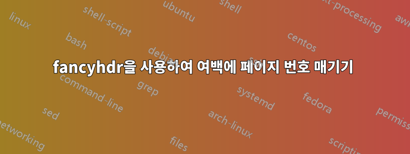 fancyhdr을 사용하여 여백에 페이지 번호 매기기