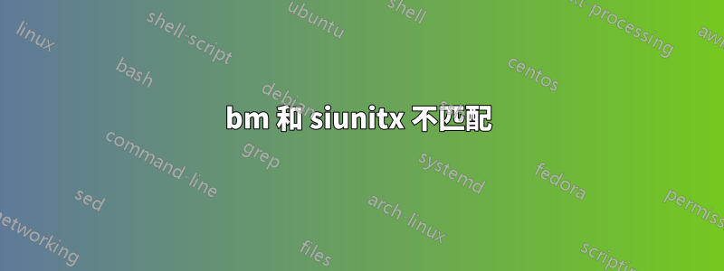 bm 和 siunitx 不匹配