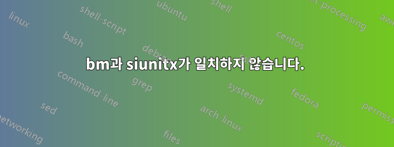 bm과 siunitx가 일치하지 않습니다.