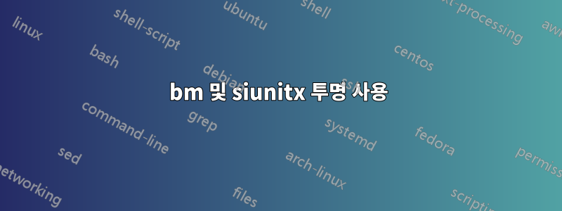 bm 및 siunitx 투명 사용