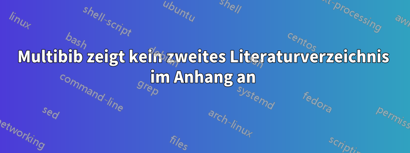 Multibib zeigt kein zweites Literaturverzeichnis im Anhang an