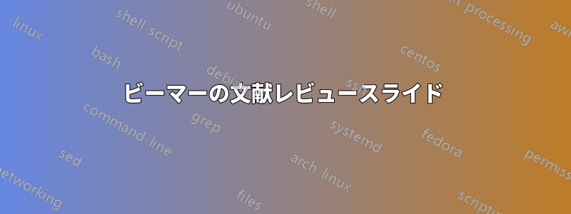 ビーマーの文献レビュースライド