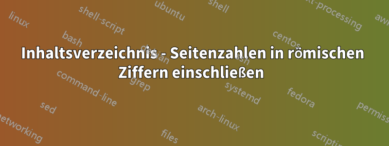 Inhaltsverzeichnis - Seitenzahlen in römischen Ziffern einschließen 