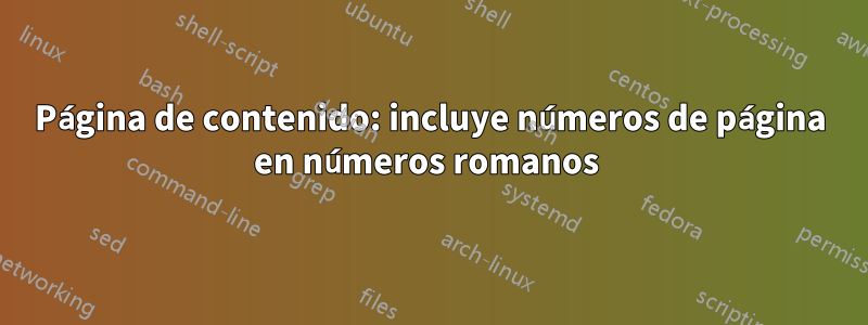 Página de contenido: incluye números de página en números romanos 