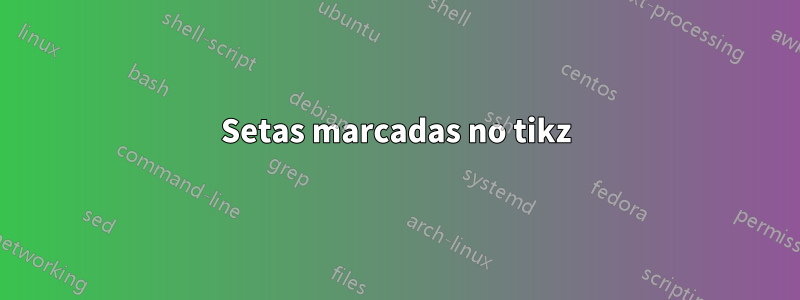 Setas marcadas no tikz