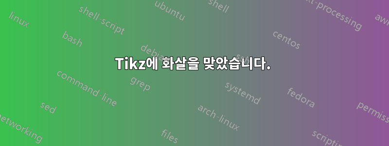 Tikz에 화살을 맞았습니다.