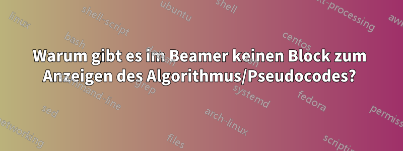 Warum gibt es im Beamer keinen Block zum Anzeigen des Algorithmus/Pseudocodes?