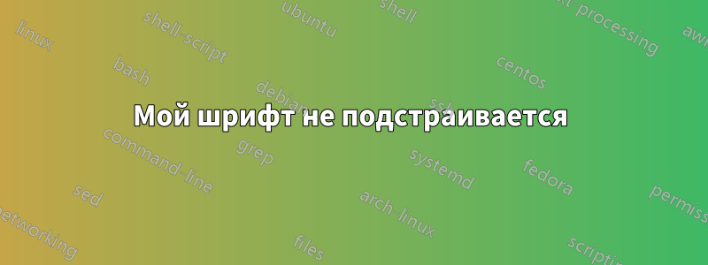 Мой шрифт не подстраивается