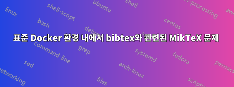 표준 Docker 환경 내에서 bibtex와 관련된 MikTeX 문제