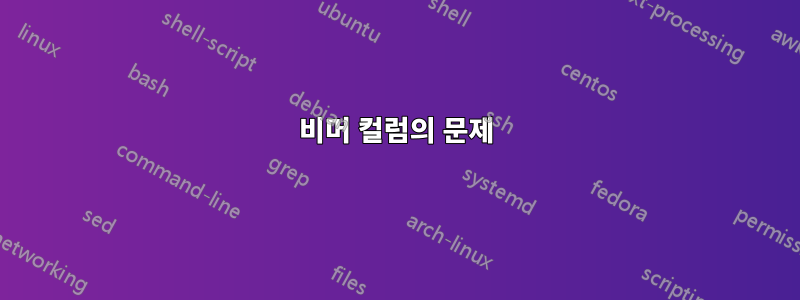 비머 컬럼의 문제
