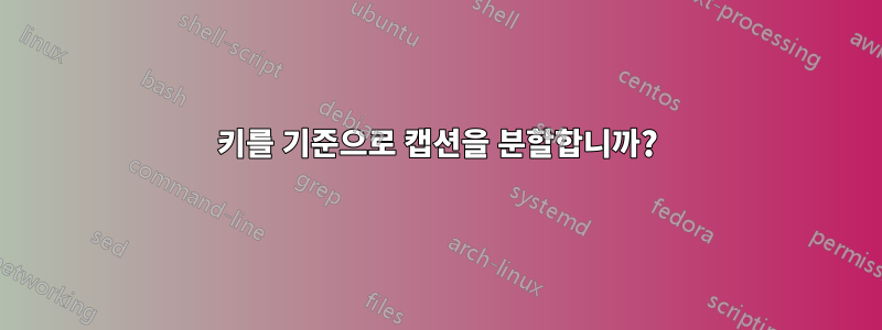 키를 기준으로 캡션을 분할합니까?