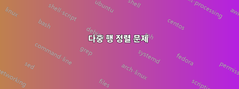 다중 행 정렬 문제