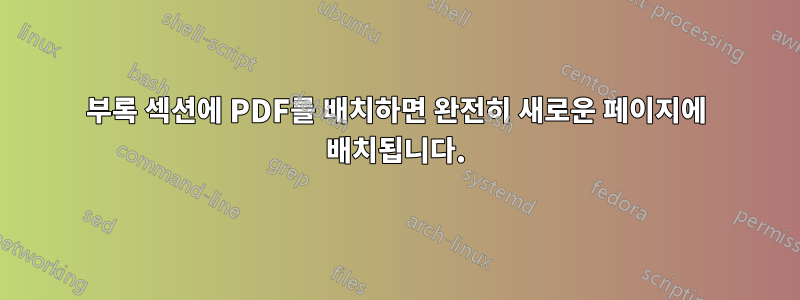 부록 섹션에 PDF를 배치하면 완전히 새로운 페이지에 배치됩니다.