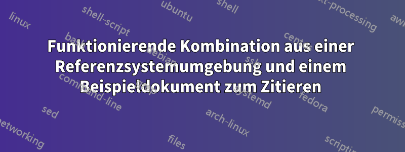Funktionierende Kombination aus einer Referenzsystemumgebung und einem Beispieldokument zum Zitieren