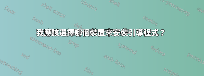 我應該選擇哪個裝置來安裝引導程式？