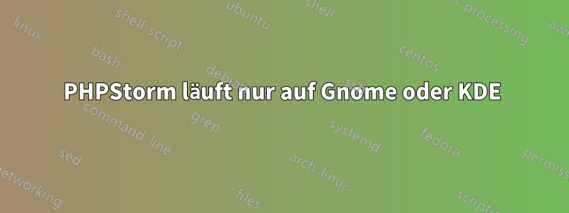 PHPStorm läuft nur auf Gnome oder KDE