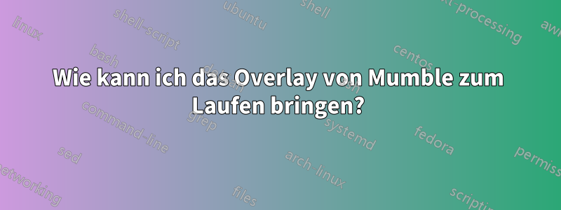 Wie kann ich das Overlay von Mumble zum Laufen bringen?