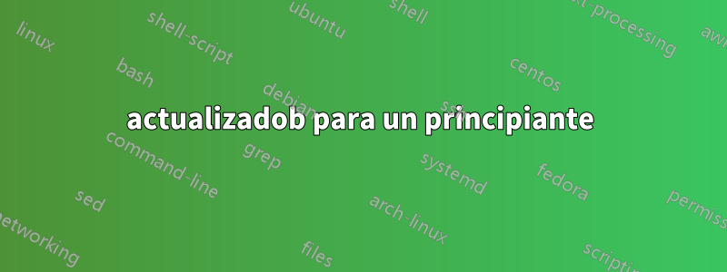 actualizadob para un principiante