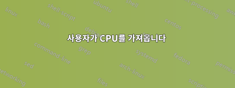 사용자가 CPU를 가져옵니다