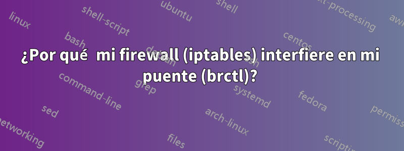 ¿Por qué mi firewall (iptables) interfiere en mi puente (brctl)?