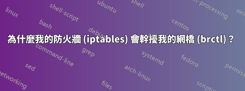 為什麼我的防火牆 (iptables) 會幹擾我的網橋 (brctl)？
