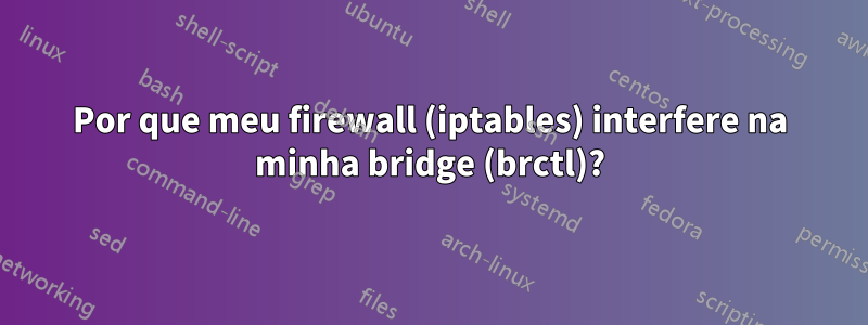 Por que meu firewall (iptables) interfere na minha bridge (brctl)?