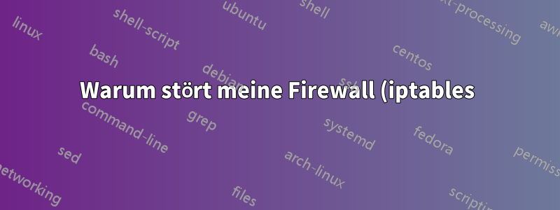 Warum stört meine Firewall (iptables) meine Bridge (brctl)?
