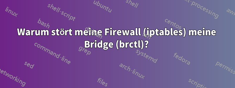 Warum stört meine Firewall (iptables) meine Bridge (brctl)?
