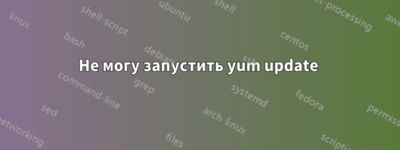 Не могу запустить yum update