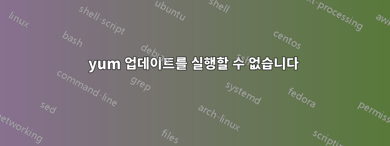 yum 업데이트를 실행할 수 없습니다
