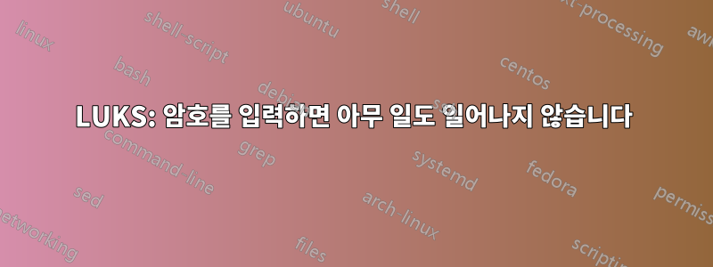 LUKS: 암호를 입력하면 아무 일도 일어나지 않습니다