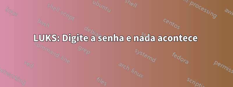 LUKS: Digite a senha e nada acontece